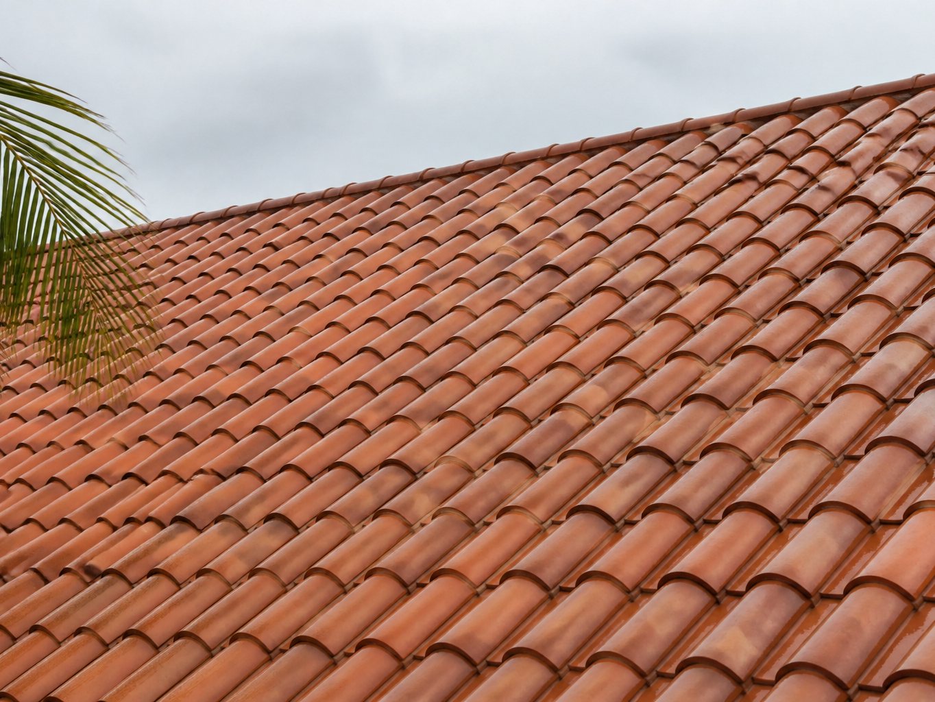 Clean wet barrel-tile roof after a wash.